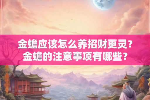 金蟾应该怎么养招财更灵？金蟾的注意事项有哪些？
