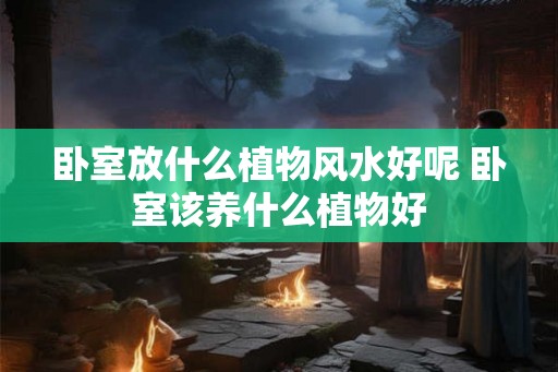 卧室放什么植物风水好呢 卧室该养什么植物好