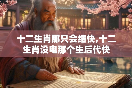 十二生肖那只会结快,十二生肖没电那个生后代快
