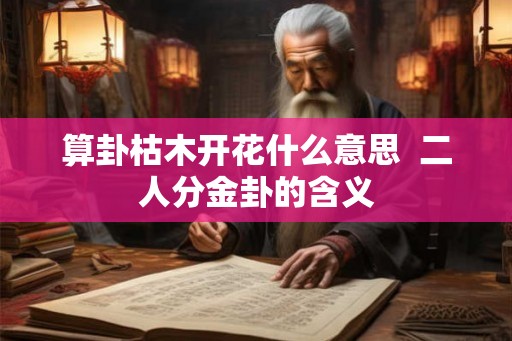 算卦枯木开花什么意思  二人分金卦的含义