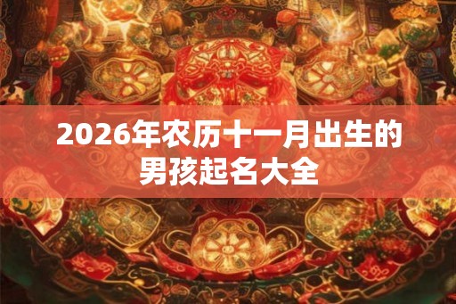 2026年农历十一月出生的男孩起名大全