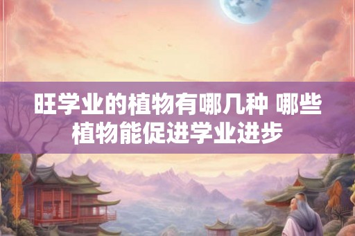 旺学业的植物有哪几种 哪些植物能促进学业进步