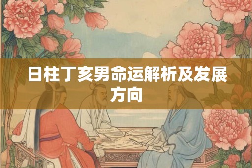 日柱丁亥男命运解析及发展方向