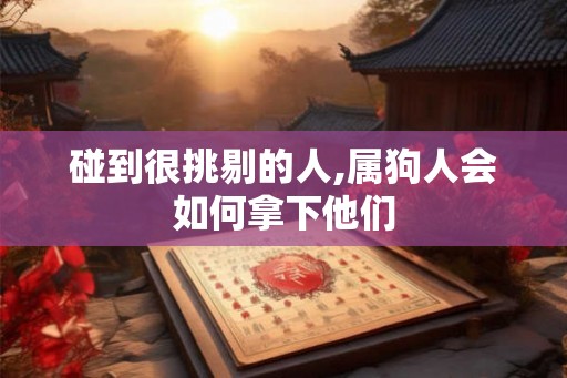 碰到很挑剔的人,属狗人会如何拿下他们 碰到很挑剔的人,属狗人会如何拿下他们