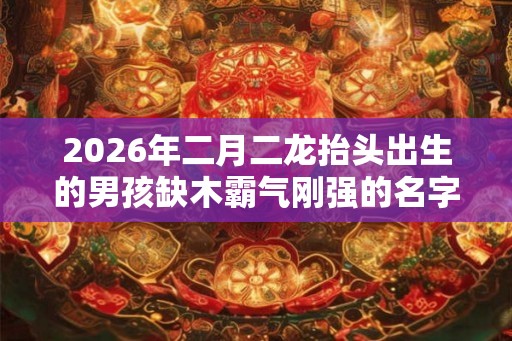 2026年二月二龙抬头出生的男孩缺木霸气刚强的名字精选