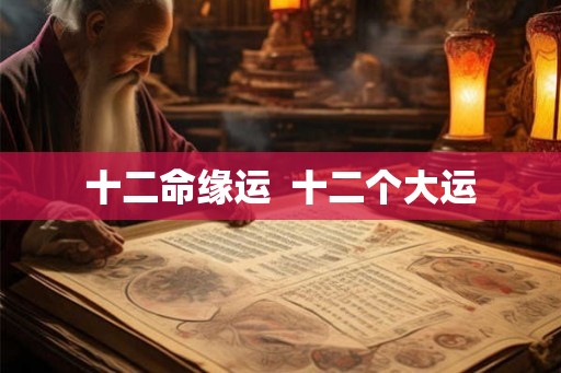 十二命缘运  十二个大运