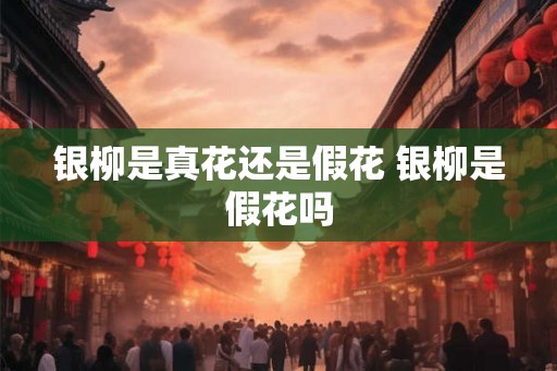 银柳是真花还是假花 银柳是假花吗