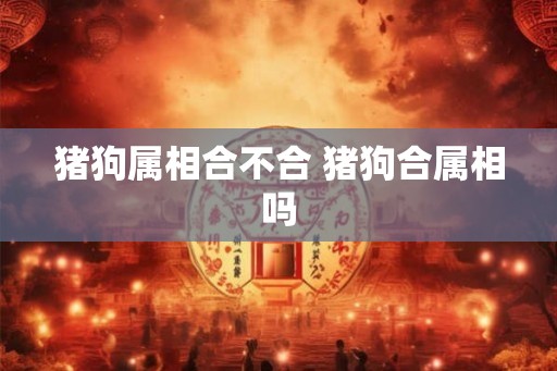猪狗属相合不合 猪狗合属相吗