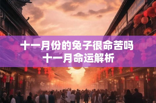 十一月份的兔子很命苦吗 十一月命运解析