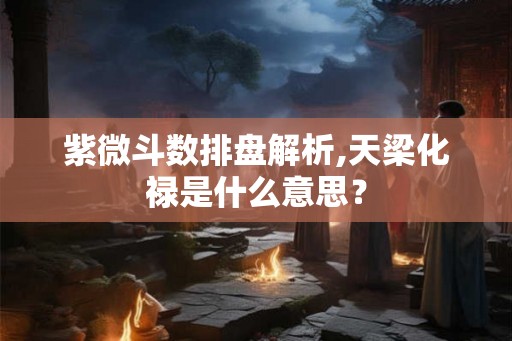 紫微斗数排盘解析,天梁化禄是什么意思？