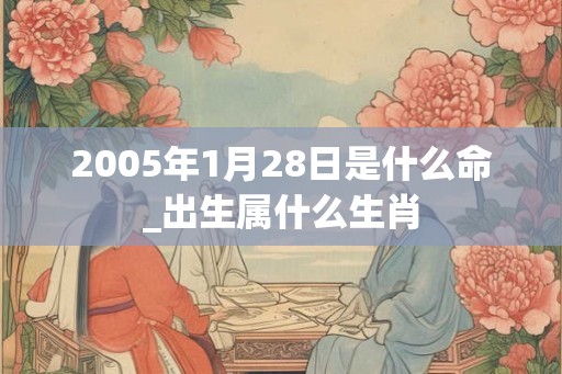 2005年1月28日是什么命_出生属什么生肖