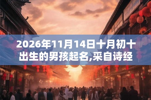 2026年11月14日十月初十出生的男孩起名,采自诗经楚辞