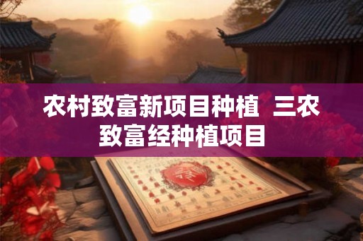农村致富新项目种植  三农致富经种植项目