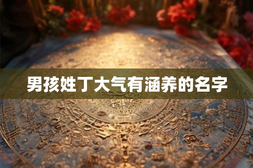 男孩姓丁大气有涵养的名字