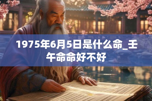 1975年6月5日是什么命_壬午命命好不好