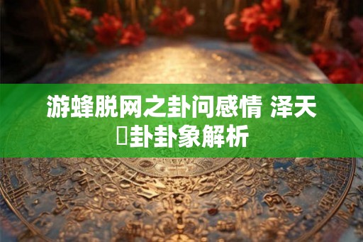 游蜂脱网之卦问感情 泽天夬卦卦象解析