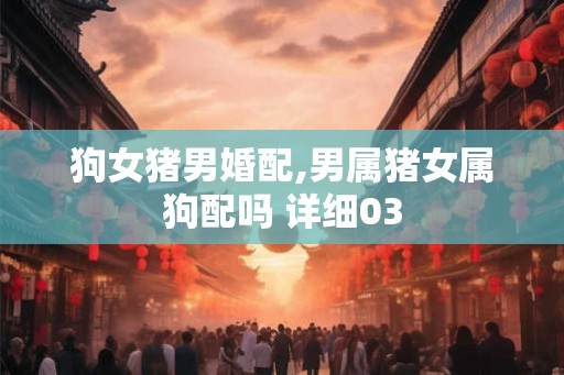 狗女猪男婚配,男属猪女属狗配吗 详细03