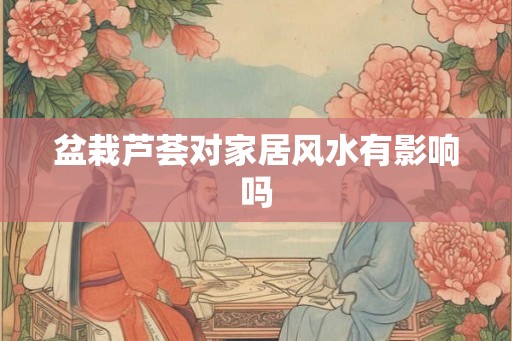 盆栽芦荟对家居风水有影响吗
