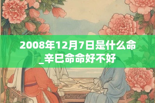 2008年12月7日是什么命_辛巳命命好不好