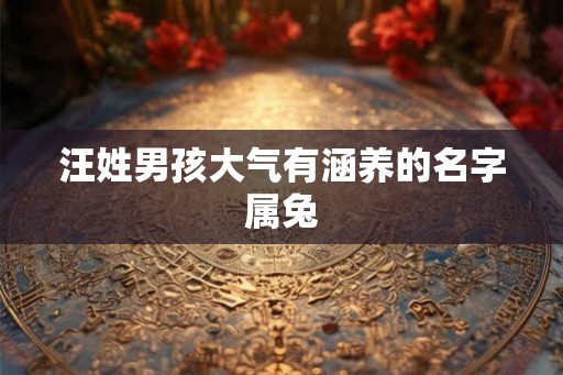汪姓男孩大气有涵养的名字属兔