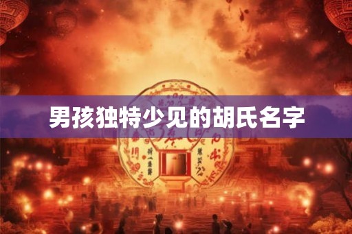 男孩独特少见的胡氏名字 男孩独特少见的胡氏名字