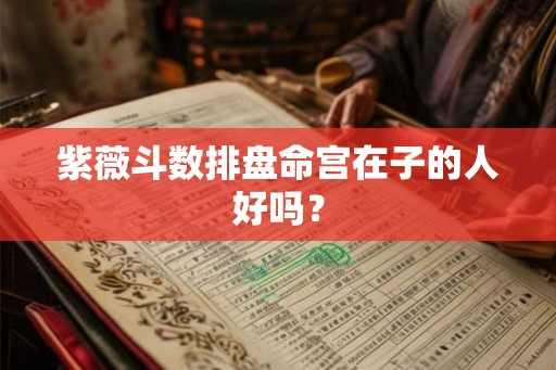 紫薇斗数排盘命宫在子的人好吗? 紫薇斗数排盘命宫在子的人好吗?