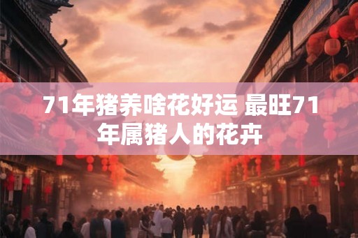 71年猪养啥花好运 最旺71年属猪人的花卉