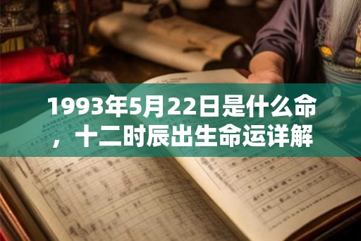 1993年5月22日是什么命，十二时辰出生命运详解