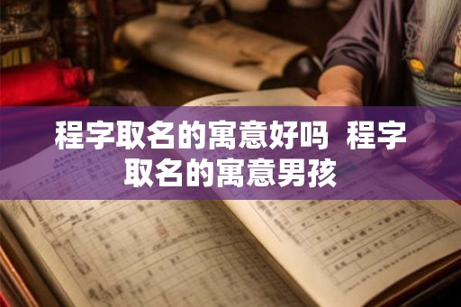 程字取名的寓意好吗  程字取名的寓意男孩