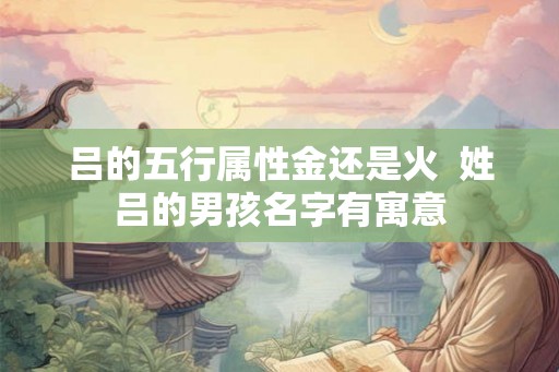 吕的五行属性金还是火 姓吕的男孩名字有寓意 吕的五行属性金还是火 姓吕的男孩名字有寓意