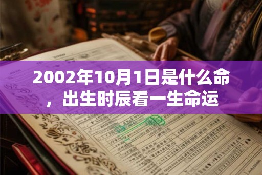 2002年10月1日是什么命，出生时辰看一生命运