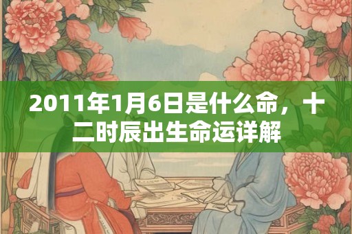 2011年1月6日是什么命，十二时辰出生命运详解