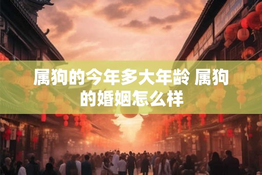 属狗的今年多大年龄 属狗的婚姻怎么样