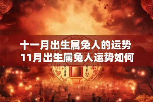 十一月出生属兔人的运势 11月出生属兔人运势如何