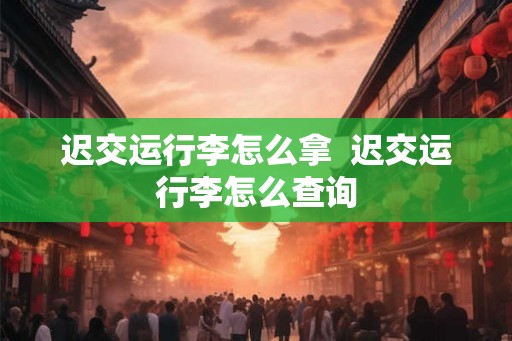 迟交运行李怎么拿  迟交运行李怎么查询