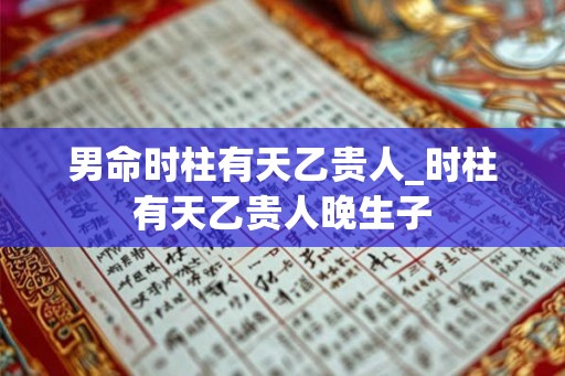 男命时柱有天乙贵人_时柱有天乙贵人晚生子