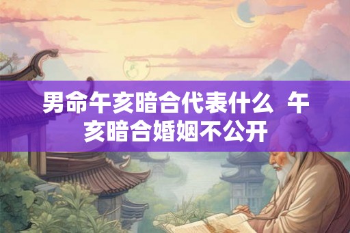 男命午亥暗合代表什么  午亥暗合婚姻不公开