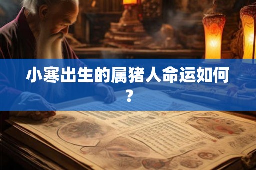 小寒出生的属猪人命运如何？