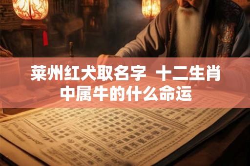 莱州红犬取名字 十二生肖中属牛的什么命运 莱州红犬取名字 十二生肖中属牛的什么命运