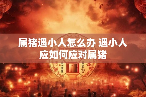属猪遇小人怎么办 遇小人应如何应对属猪