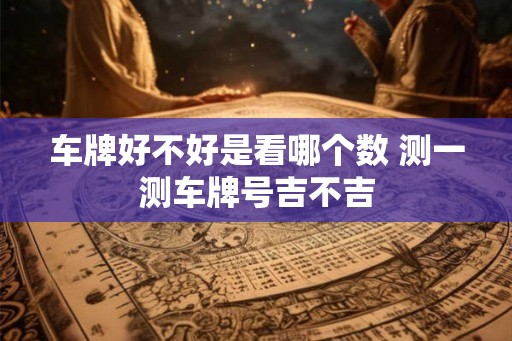 车牌好不好是看哪个数 测一测车牌号吉不吉