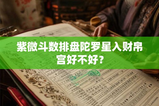 紫微斗数排盘陀罗星入财帛宫好不好？