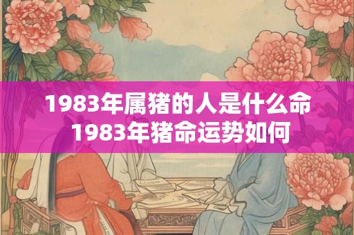 1983年属猪的人是什么命 1983年猪命运势如何
