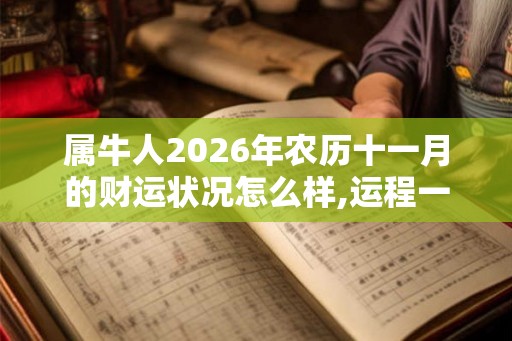 属牛人2026年农历十一月的财运状况怎么样,运程一般相对平稳