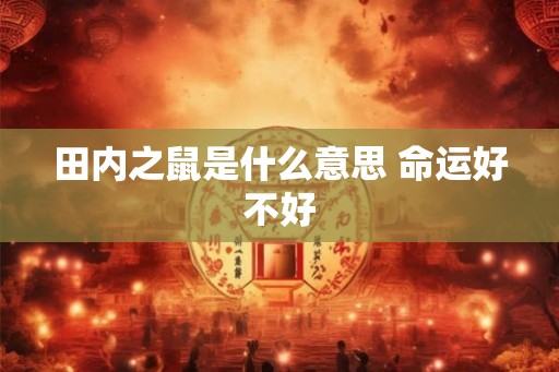 田内之鼠是什么意思 命运好不好