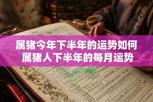 属猪今年下半年的运势如何 属猪人下半年的每月运势