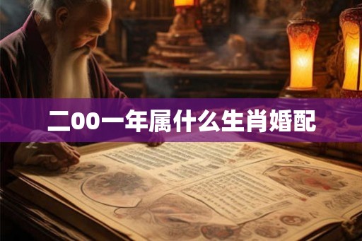 二00一年属什么生肖婚配