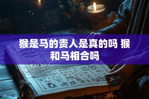 猴是马的贵人是真的吗 猴和马相合吗