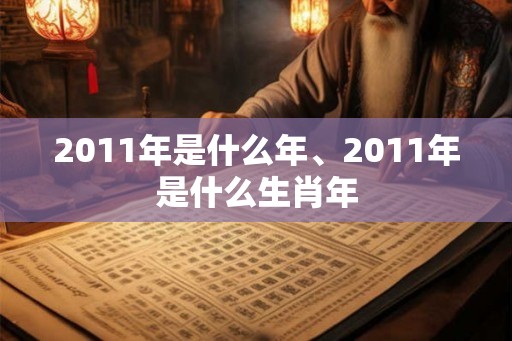 2011年是什么年、2011年是什么生肖年