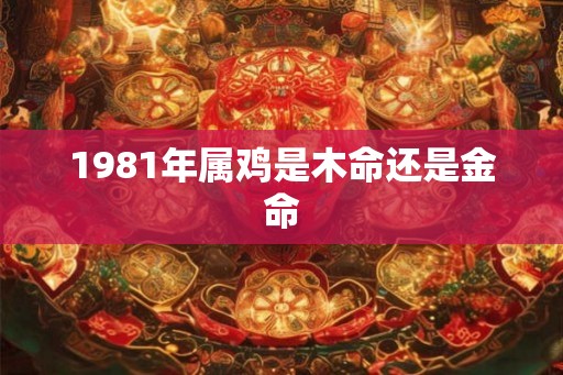 1981年属鸡是木命还是金命